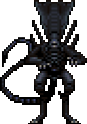 File:DMCA Queen.png